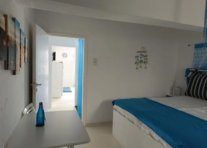 Sea Nest Paros House 別荘